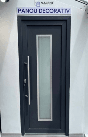 Door with decorative matte glass panel