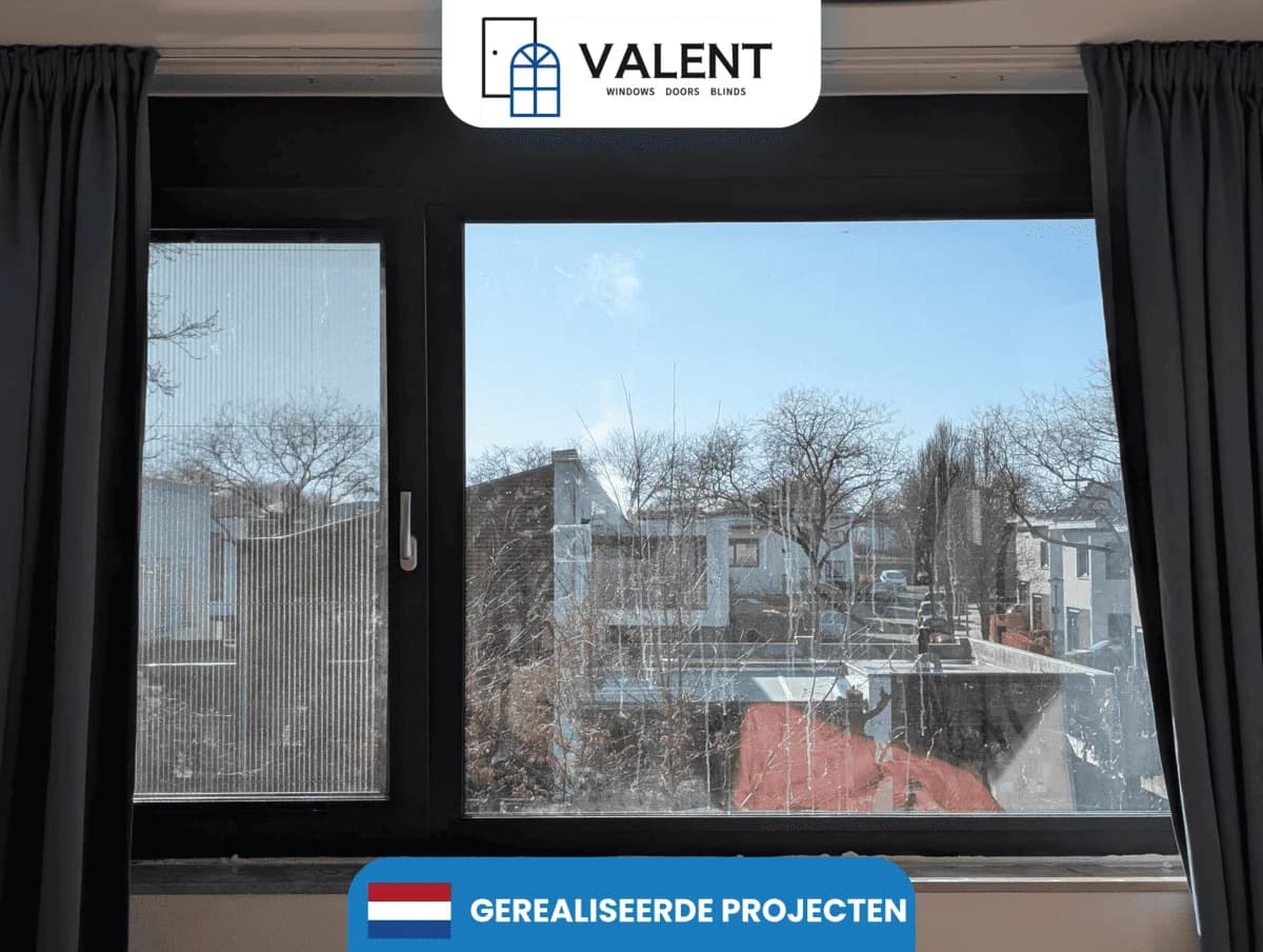 Proiect 1